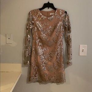 Dress the population Grace Silver Sequin Dress- XS